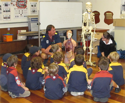Cubs Skeleton